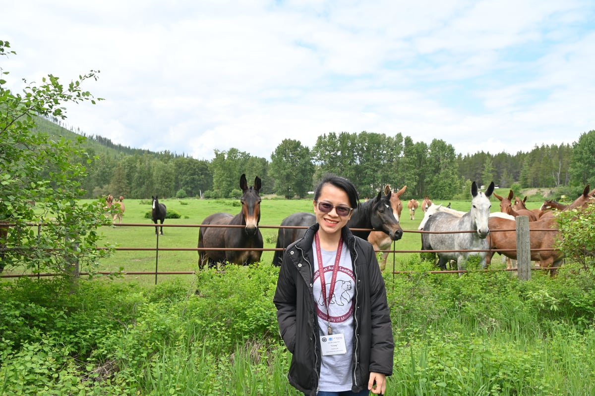 A fellows standing in a green field in front of horses